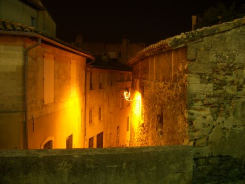 Avignona